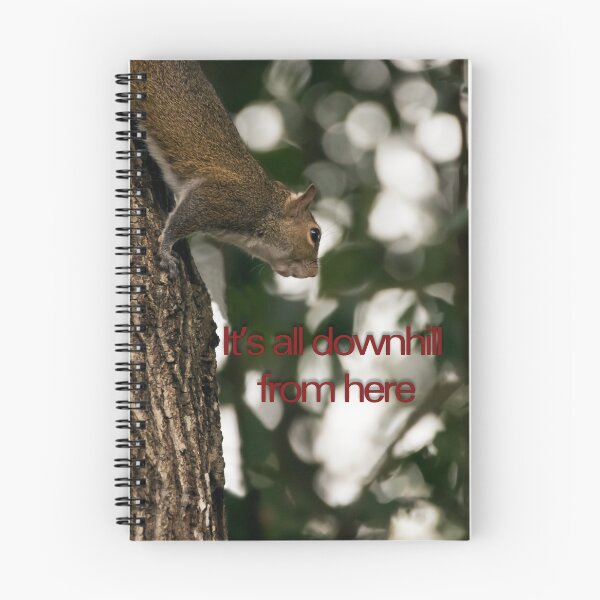 Item preview, All Downhill from Here Squirrel designed and sold by KbytesOfJax Outdoor and Nature.