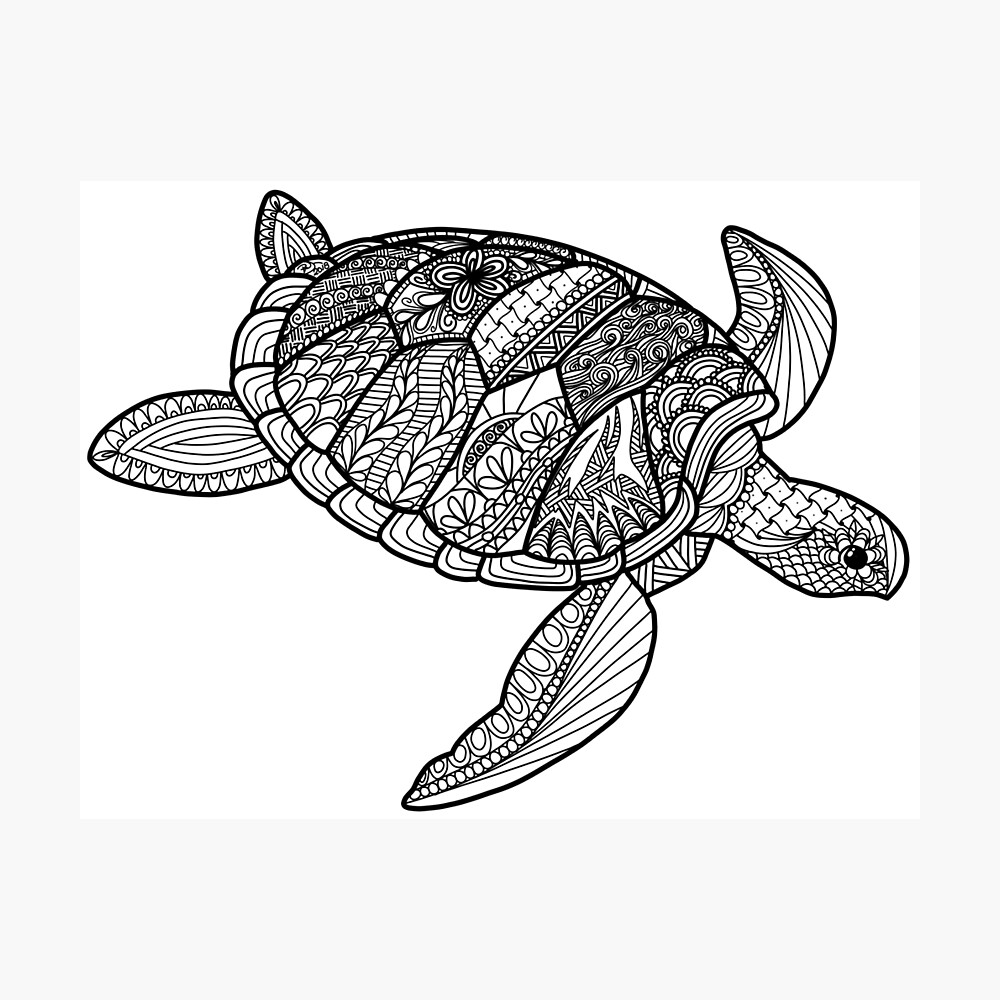 Aquatic Life vinyl decal for your car! Sea Turtle Choose any color!