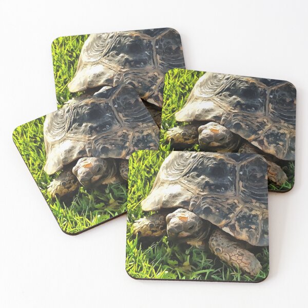 Aperçu de l'œuvre Tortue sauvage dans l'herbe des prés Art animalier créée et vendue par taiche.