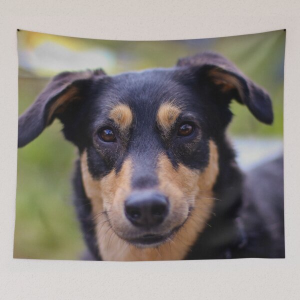 Item preview, Dog Luky designed and sold by laura-S.