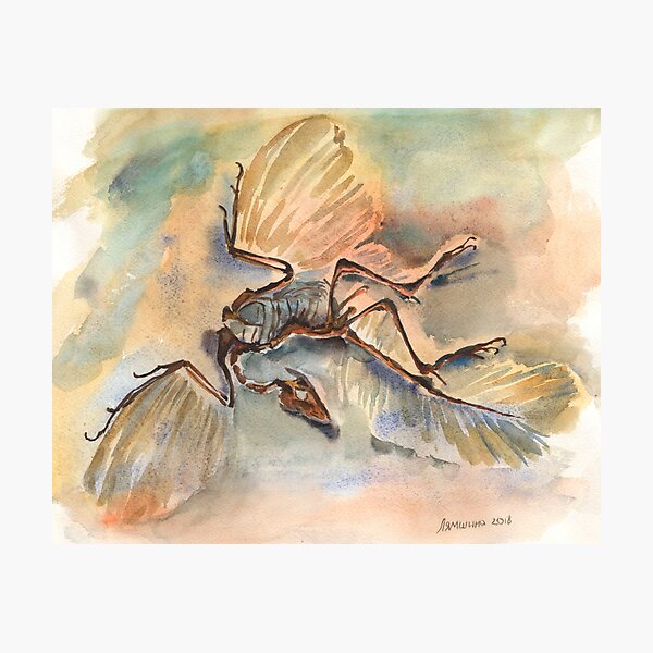 Artikel-Vorschau von Archaeopteryx, designt und verkauft von irishkalia.