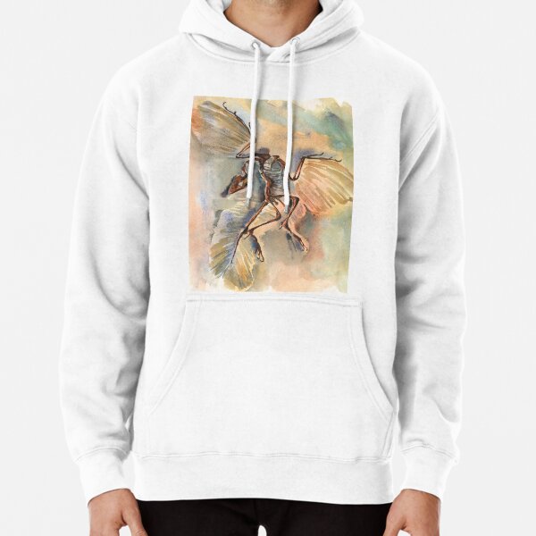 afskaffe hver gang Forvirre Archaeopteryx" Pullover Hoodie for Sale by irishkalia | Redbubble
