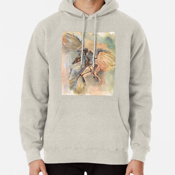 archaeopteryx pullover hoody men's