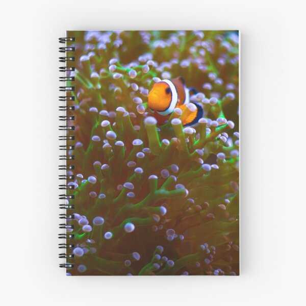 Item preview, Clown fish designed and sold by Asiantiger247.