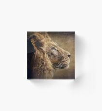 The Lion Portrait Acrylblock