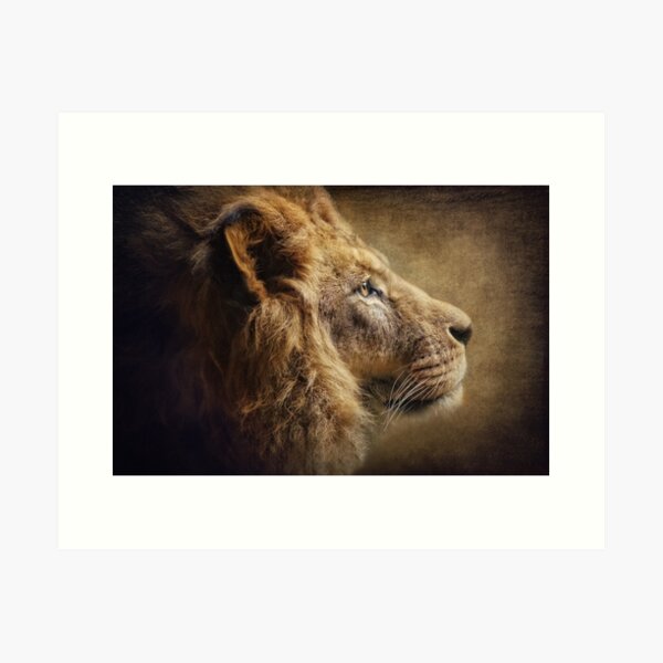 The Lion Portrait Art Print
