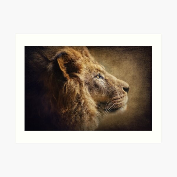 The Lion Portrait Art Print