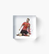 Illustration Bruyne Art Acrylic Block