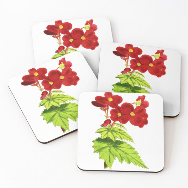 Aperçu de l'œuvre Begonia Oriflamme créée et vendue par YaelleDark.