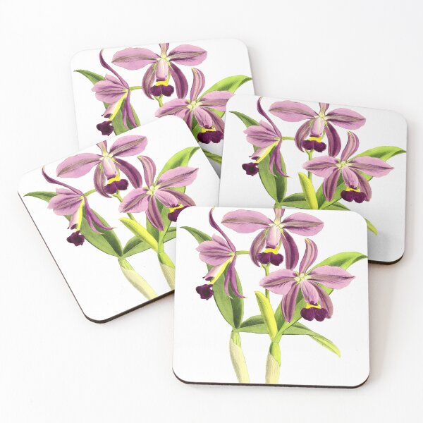 Item preview, Cattleya Orchid designed and sold by YaelleDark.