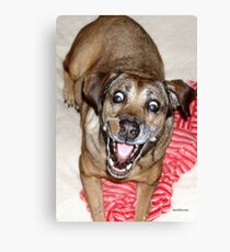 Funny Mattie Canvas Print