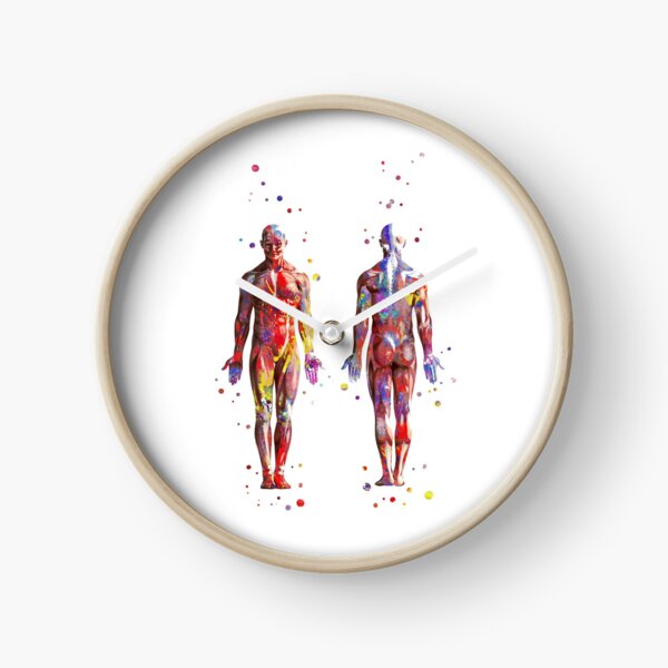 Item preview, Muscular System, watercolor anatomy art, human muscles, medical art, man body designed and sold by Rosaliartbook.