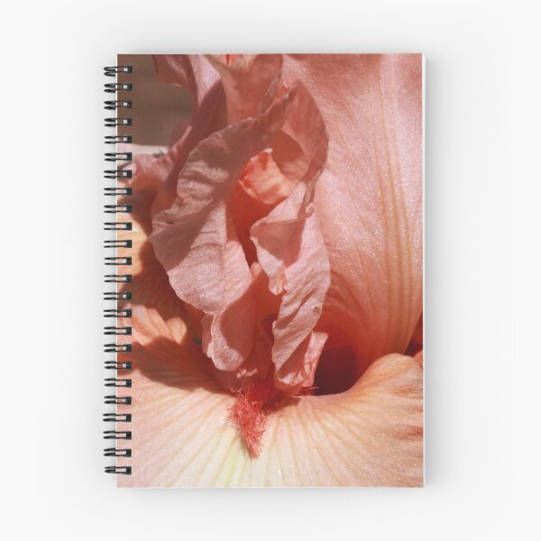 Item preview, Undivided Attention Iris designed and sold by Robert Armendariz.