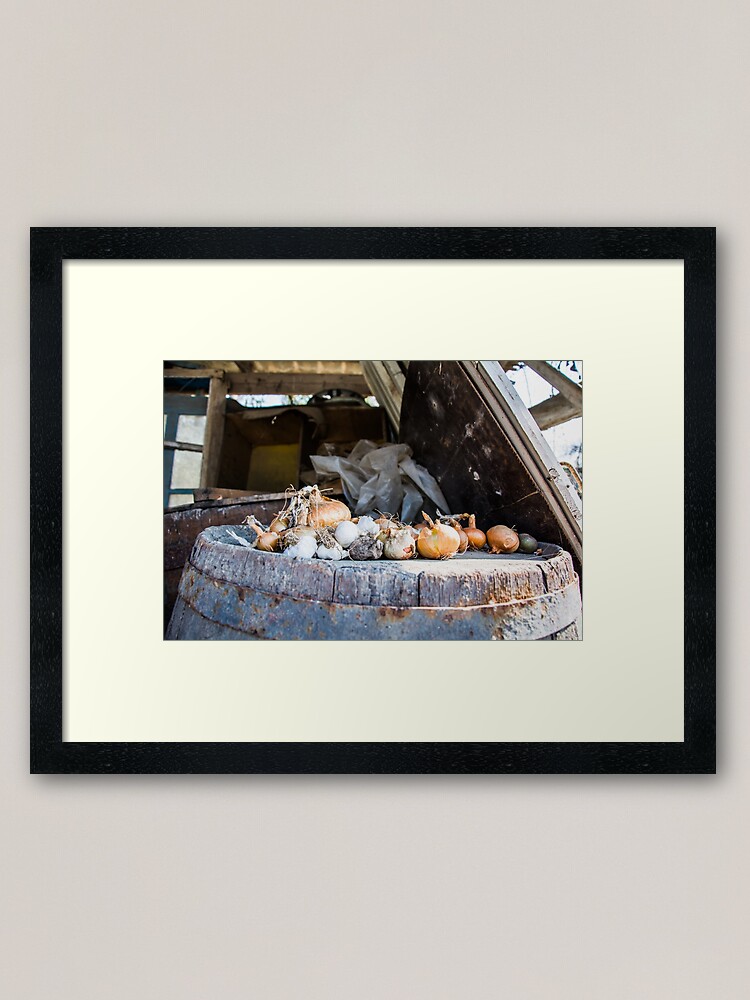 Alternate view of Onion and Garlic Still Life Framed Art Print