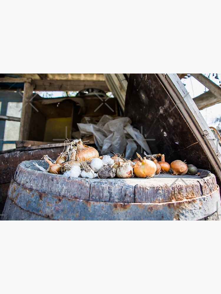 Onion and Garlic Still Life by NBazilenco