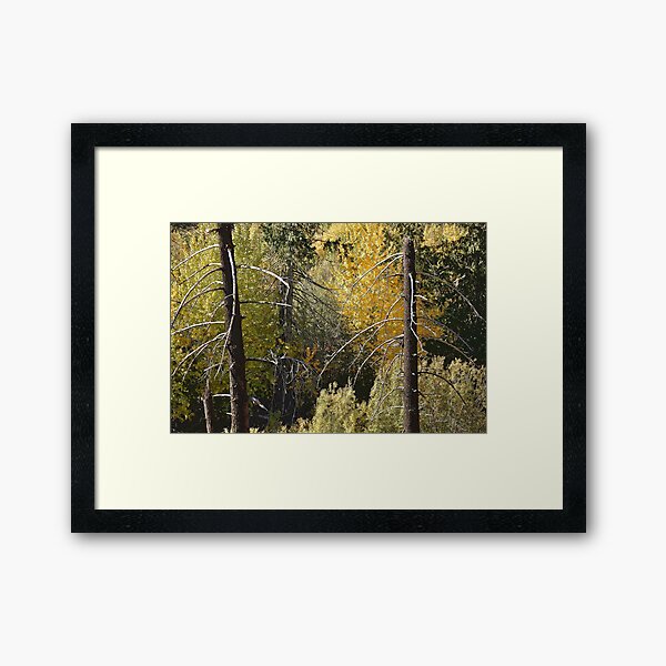 For Everything There is a Season Framed Art Print