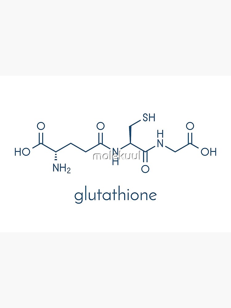 glutathione molecular formula Glutathione endogenous antioxidant molecule