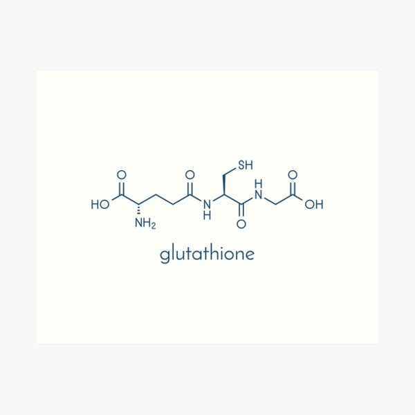Item preview, Glutathione endogenous antioxidant molecule designed and sold by molekuul.