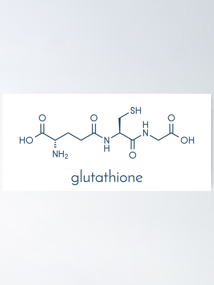 Glutathione endogenous antioxidant molecule
