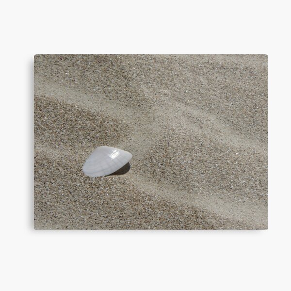 Item preview, Shell - Gunyah Beach designed and sold by janie1.