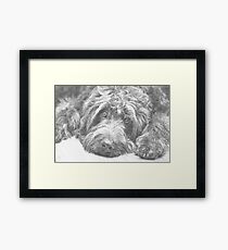 DOODLE EYES Framed Print