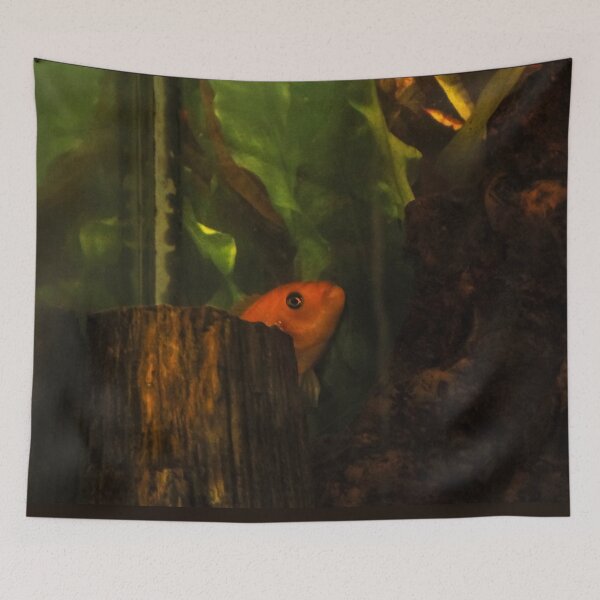 Item preview, HIDING! designed and sold by heatherfriedman.