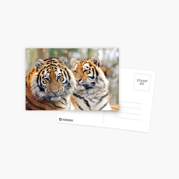 Item preview, Tigers designed and sold by JEZ22.