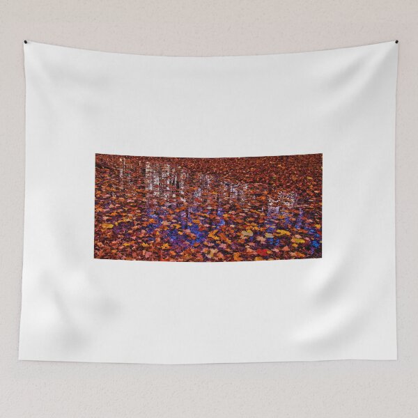 Item preview, Reflections of Fall designed and sold by BlackIrisStudio.