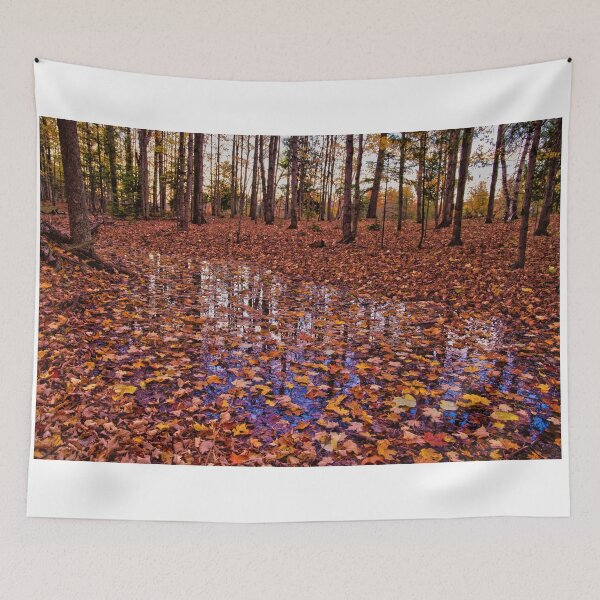 Item preview, Reflections of Fall (original composition) designed and sold by BlackIrisStudio.