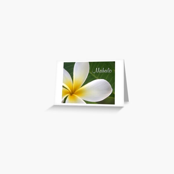 Island Heritage Hawaii Hawaiian MAHALO Thank You CARD Boxed Set of 10 