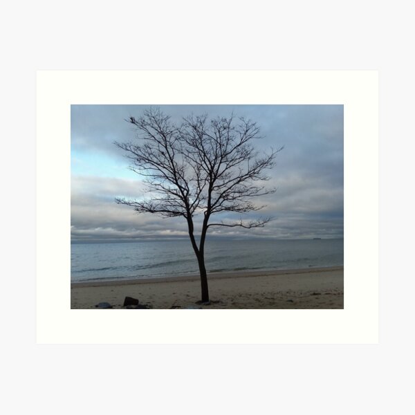 Item preview, A tree on the beach designed and sold by Tonia Delozier's Photography .