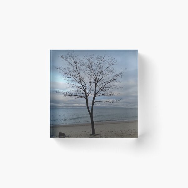 Item preview, A tree on the beach designed and sold by Tonia Delozier's Photography .
