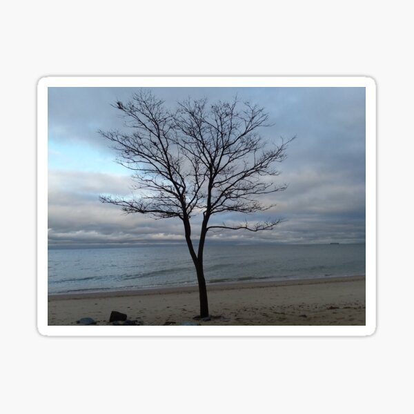 Item preview, A tree on the beach designed and sold by Tonia Delozier's Photography .