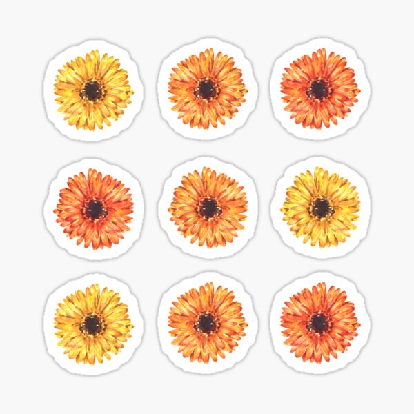 Colorful Gerbera Daisy Flower Pattern Sticker