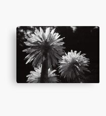 there be palm trees in the garden of my dreams Canvas Print