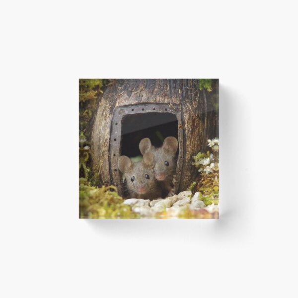 Item preview, two wild mouse at the  wood pile door  designed and sold by Simon-dell.
