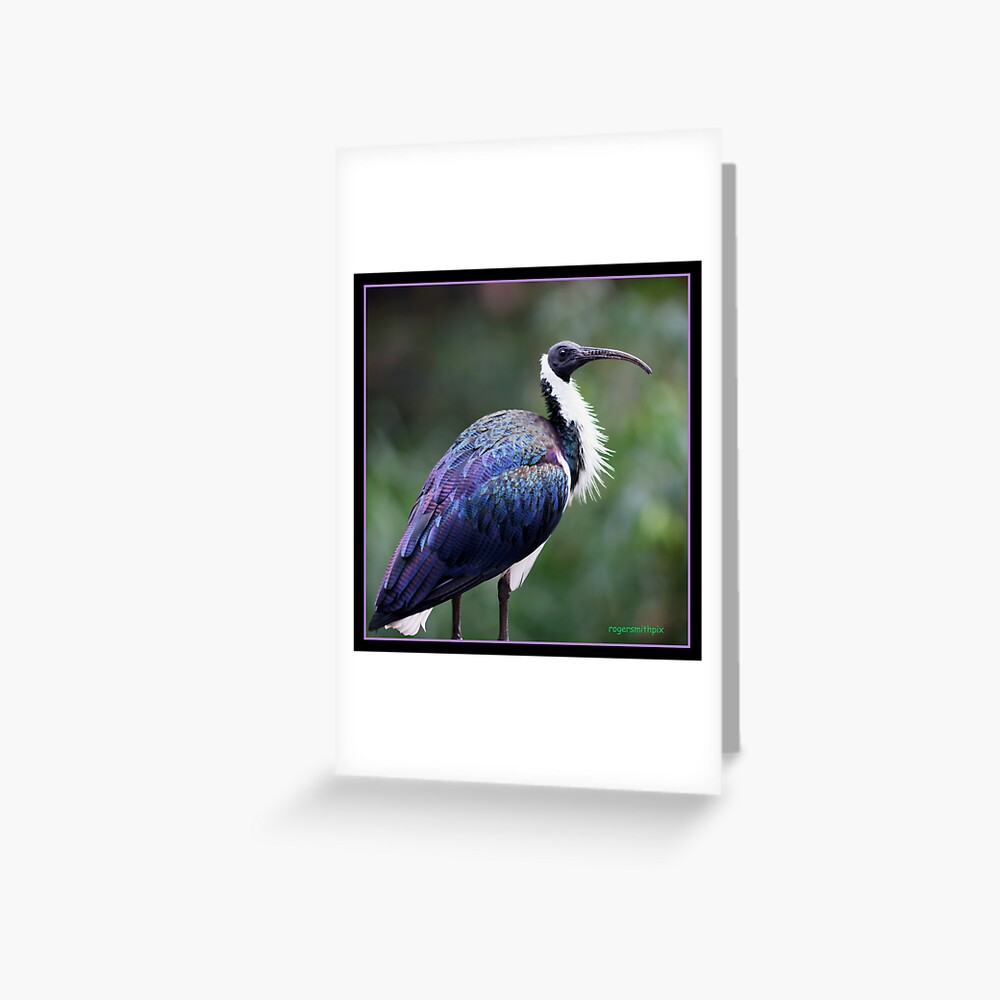 "the farmer's friend" Greeting Card