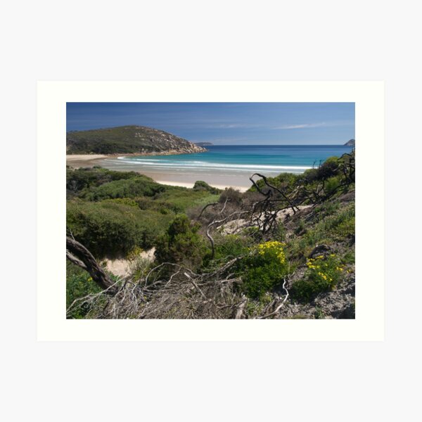 Wilsons Promontory NP, Victoria. Art Print