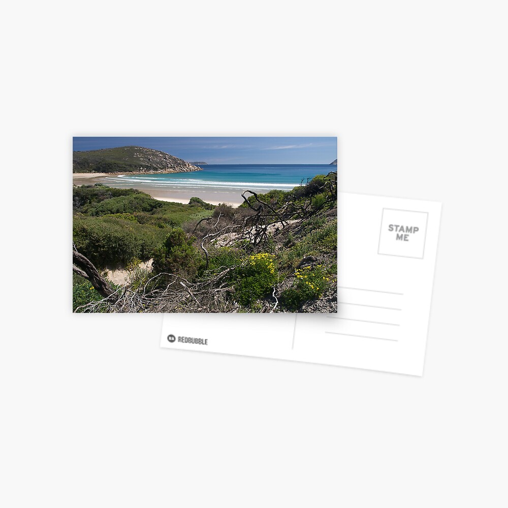 Item preview, Postcard designed and sold by johnrf.