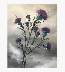 Scottish traditional purple thistle Photographic Print