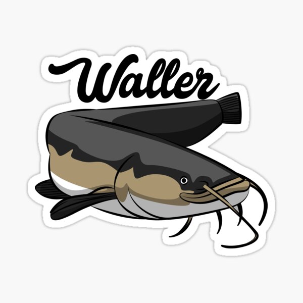 Holographischer Karpfen Aufkleber 15cm - Wasserdichter PVC Aufkleber Mit Regenbogeneffekt