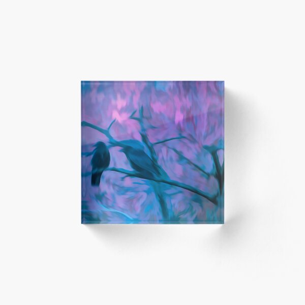Crow Spirit Acrylic Block