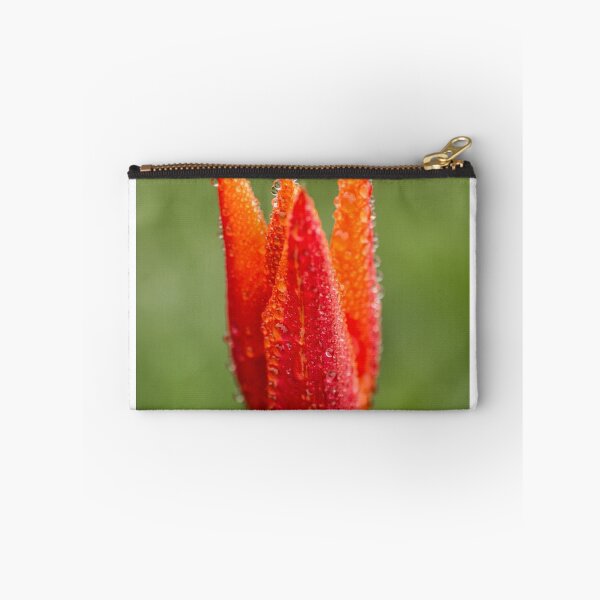 Item preview, Dewy Tulip designed and sold by Debbie  Roberts.