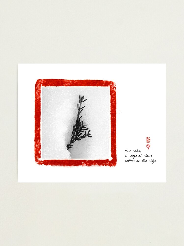 Alternate view of lone cabin Photographic Print