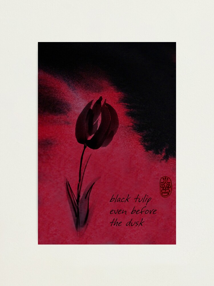 Alternate view of Black Tulip Photographic Print