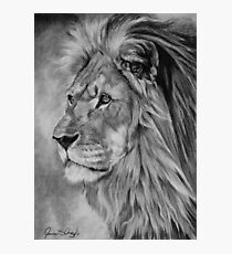 Remembrance - Cecil The Lion Photographic Print