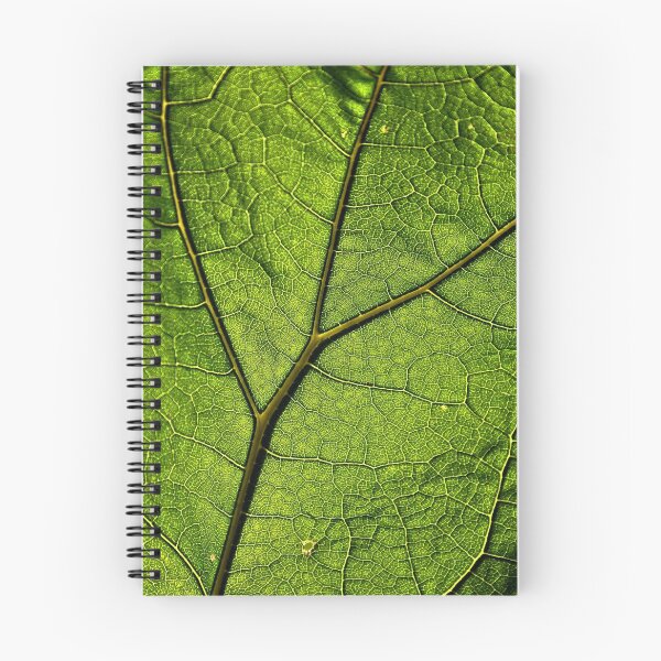Item preview, Brilliant green Laublatt photo designed and sold by Dator.