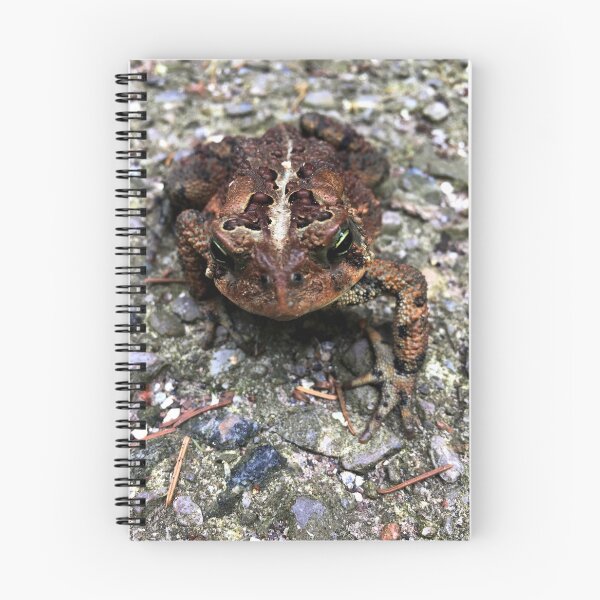Item preview, American Toad designed and sold by Speckle.