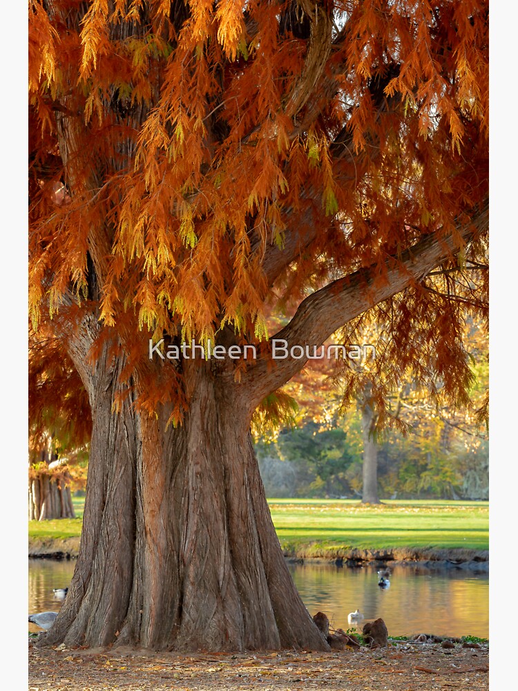 Autumn Tree by KathleenBowman