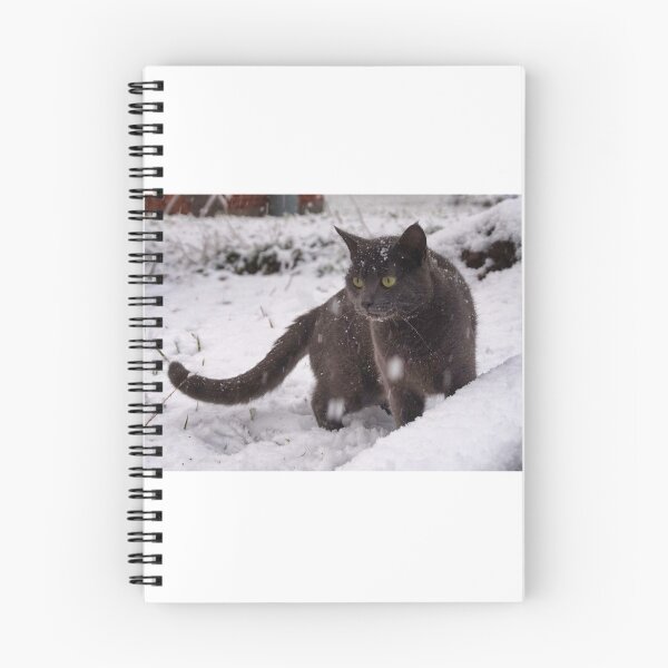 Item preview, Cool Cat designed and sold by colorfulbundles.